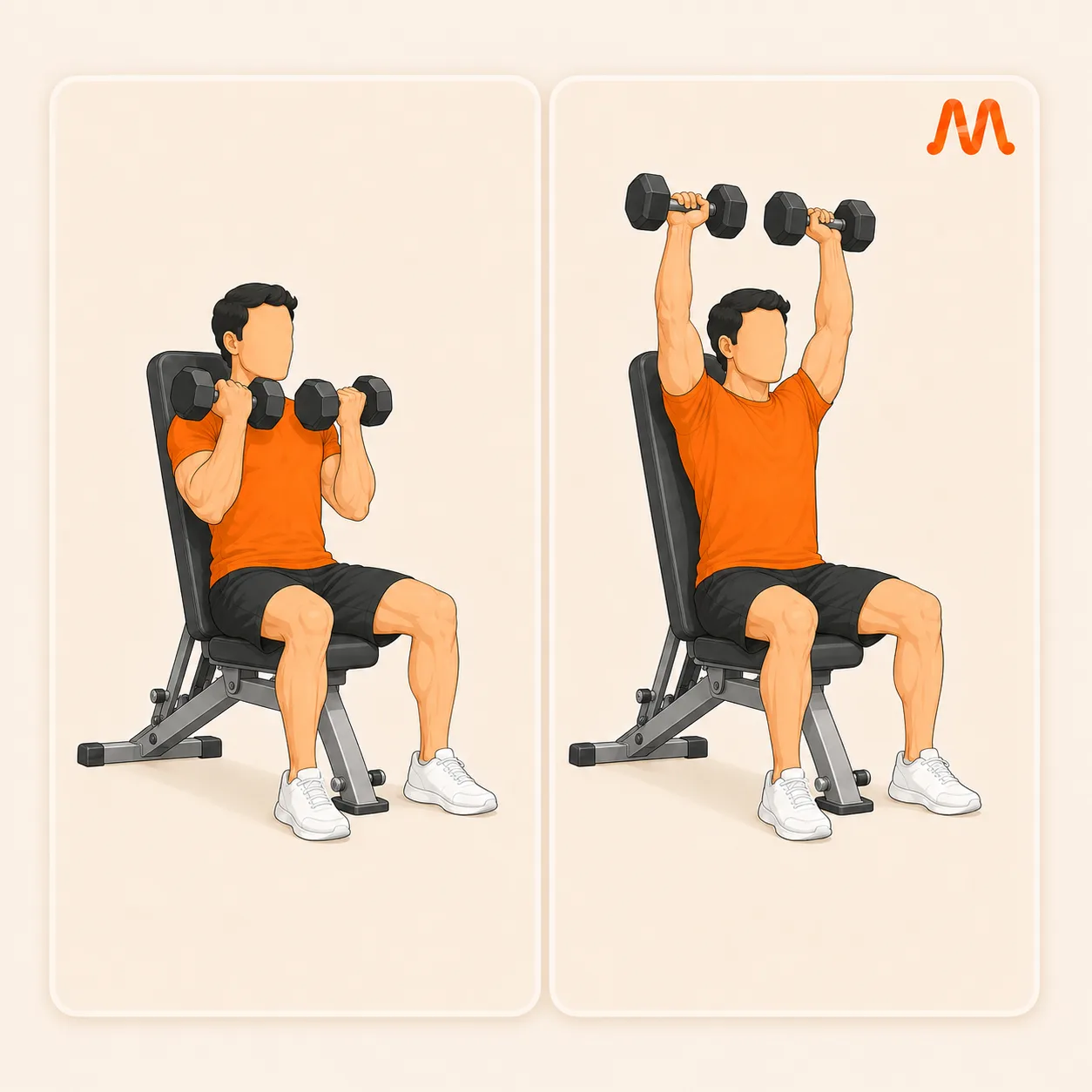 Arnold Press exercise illustration