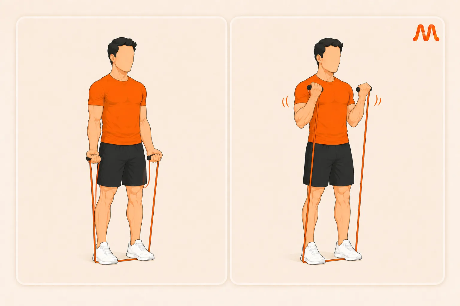 Band Biceps Curl exercise illustration
