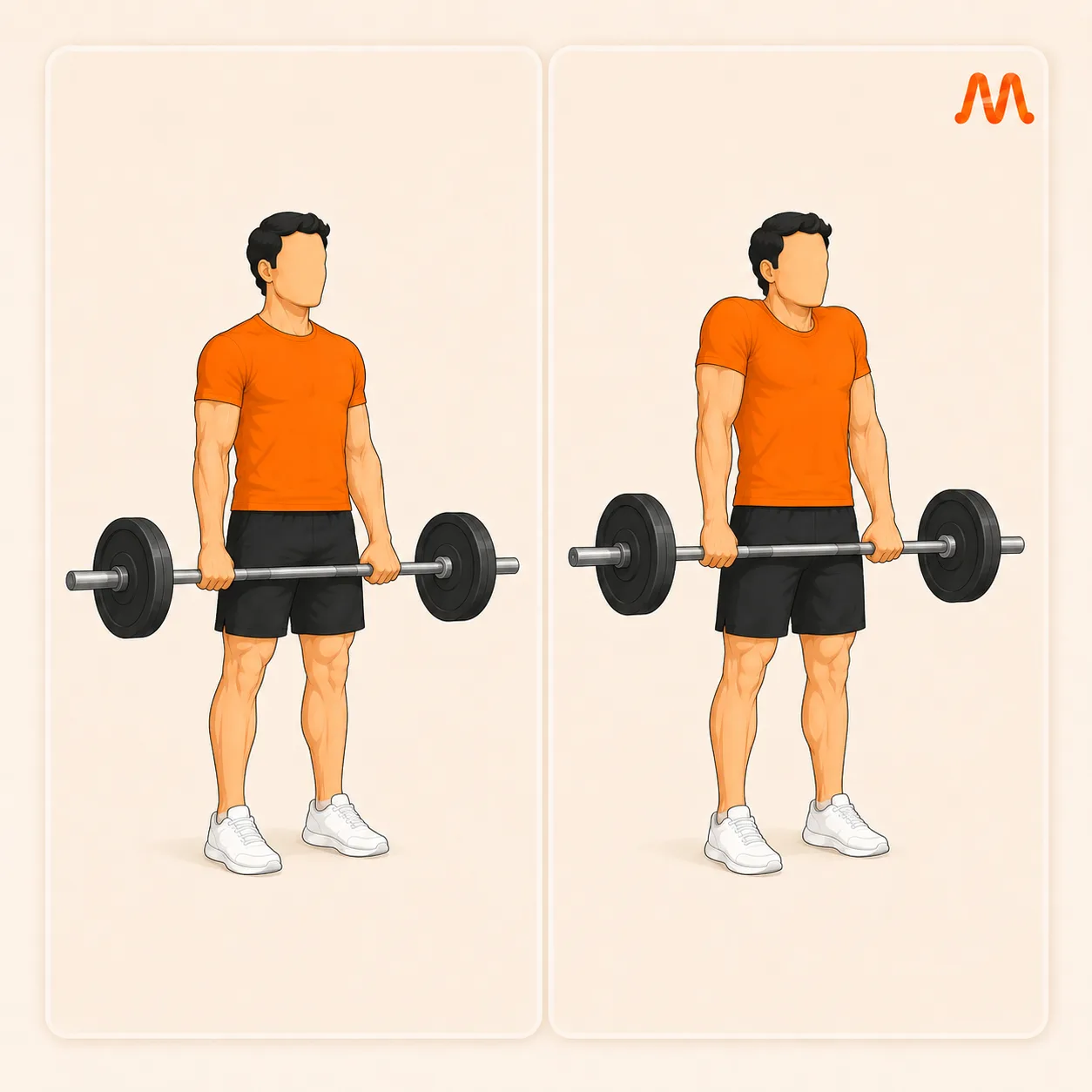 Barbell Shrug exercise illustration
