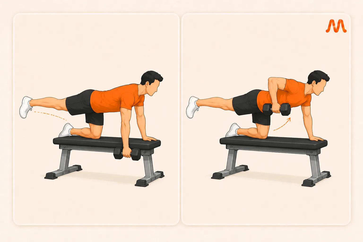 Bird Dog Row exercise illustration