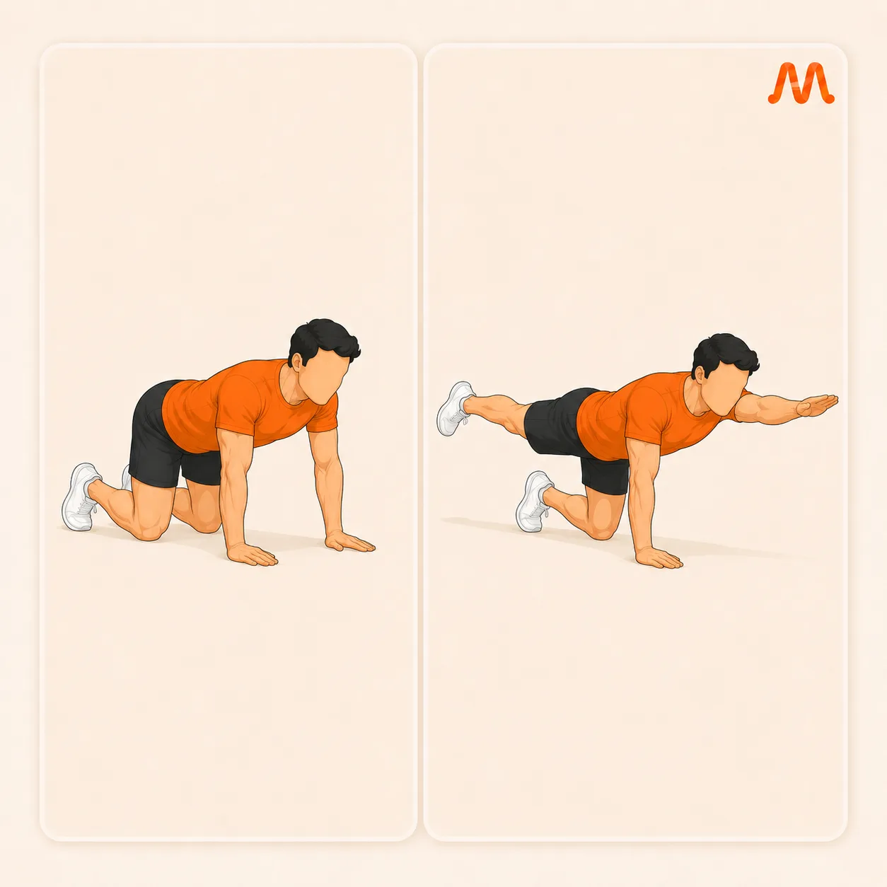 Bird Dog exercise illustration