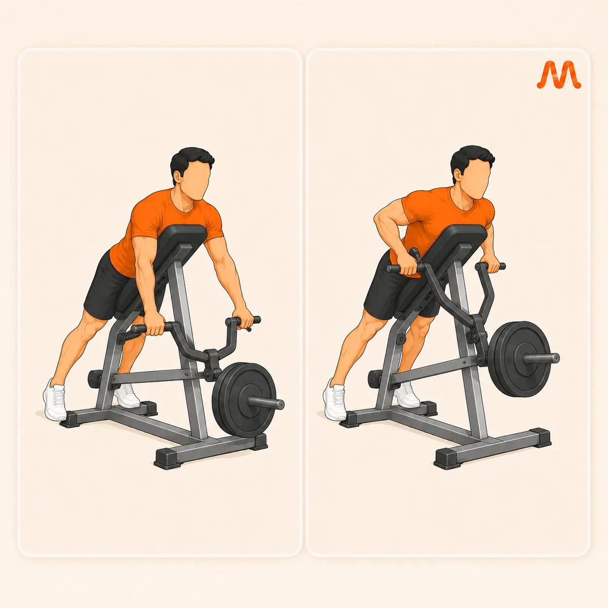 Chest-Supported T-Bar Row exercise illustration