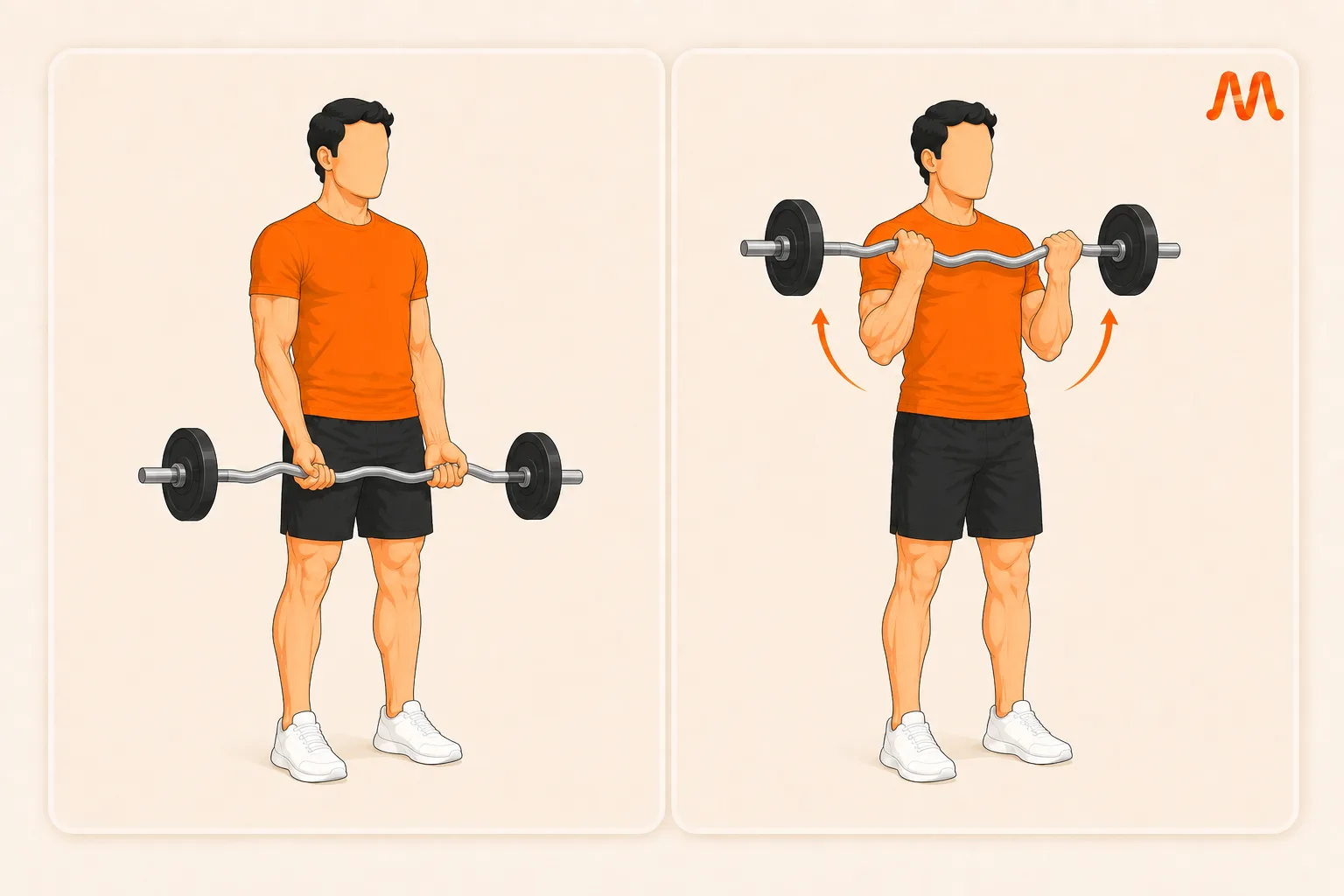 EZ Bar Curl exercise illustration