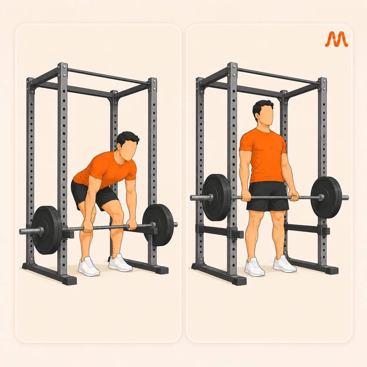Rack Pull exercise illustration