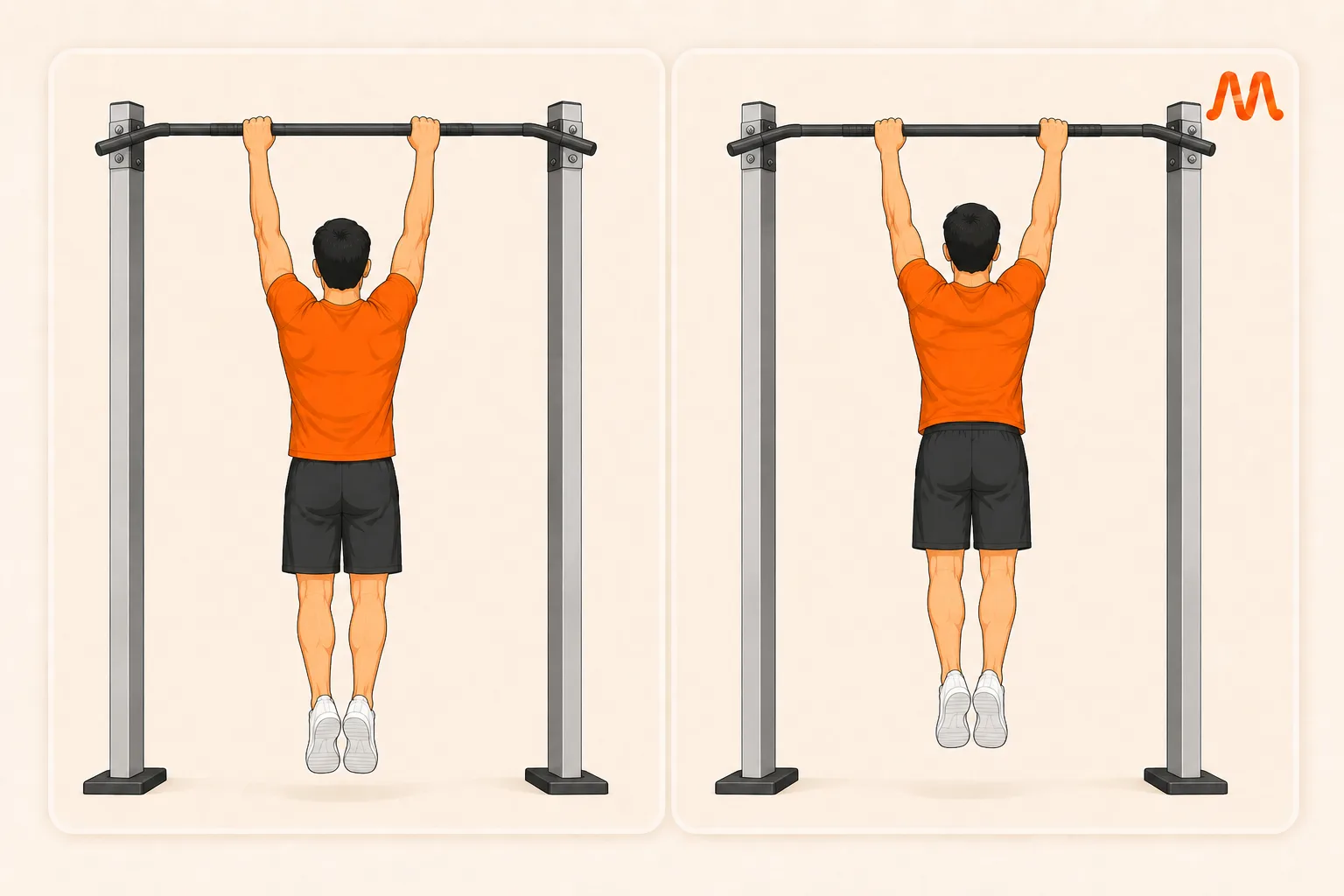 Scapular Pull Up exercise illustration