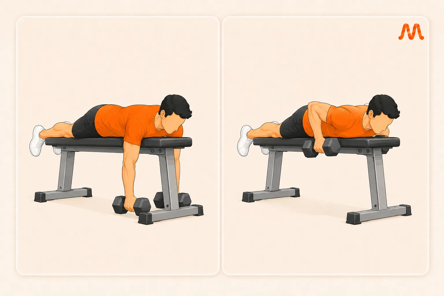 Seal Row exercise illustration