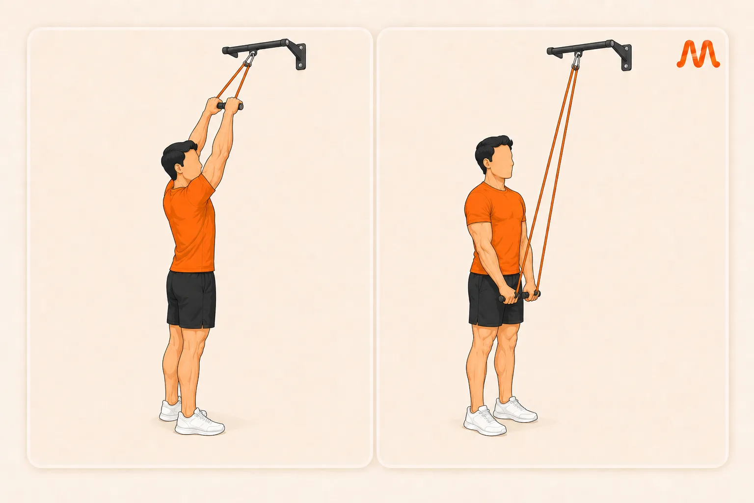 Straight Arm Band Pulldown exercise illustration