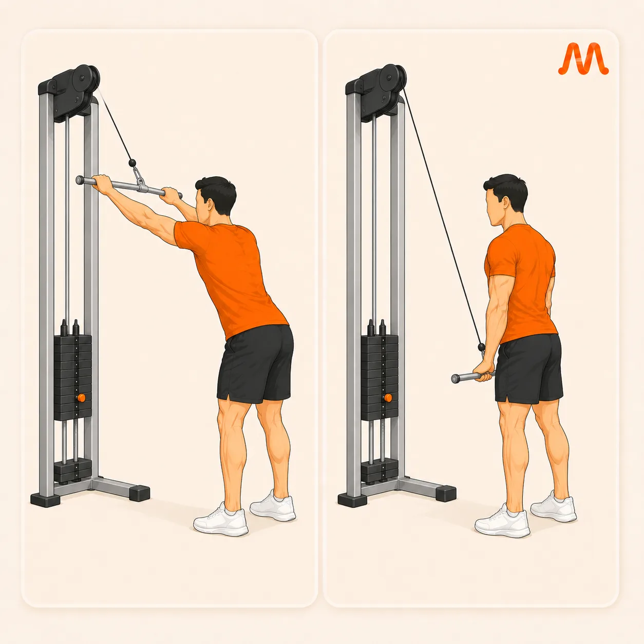 Straight-Arm Pulldown exercise illustration