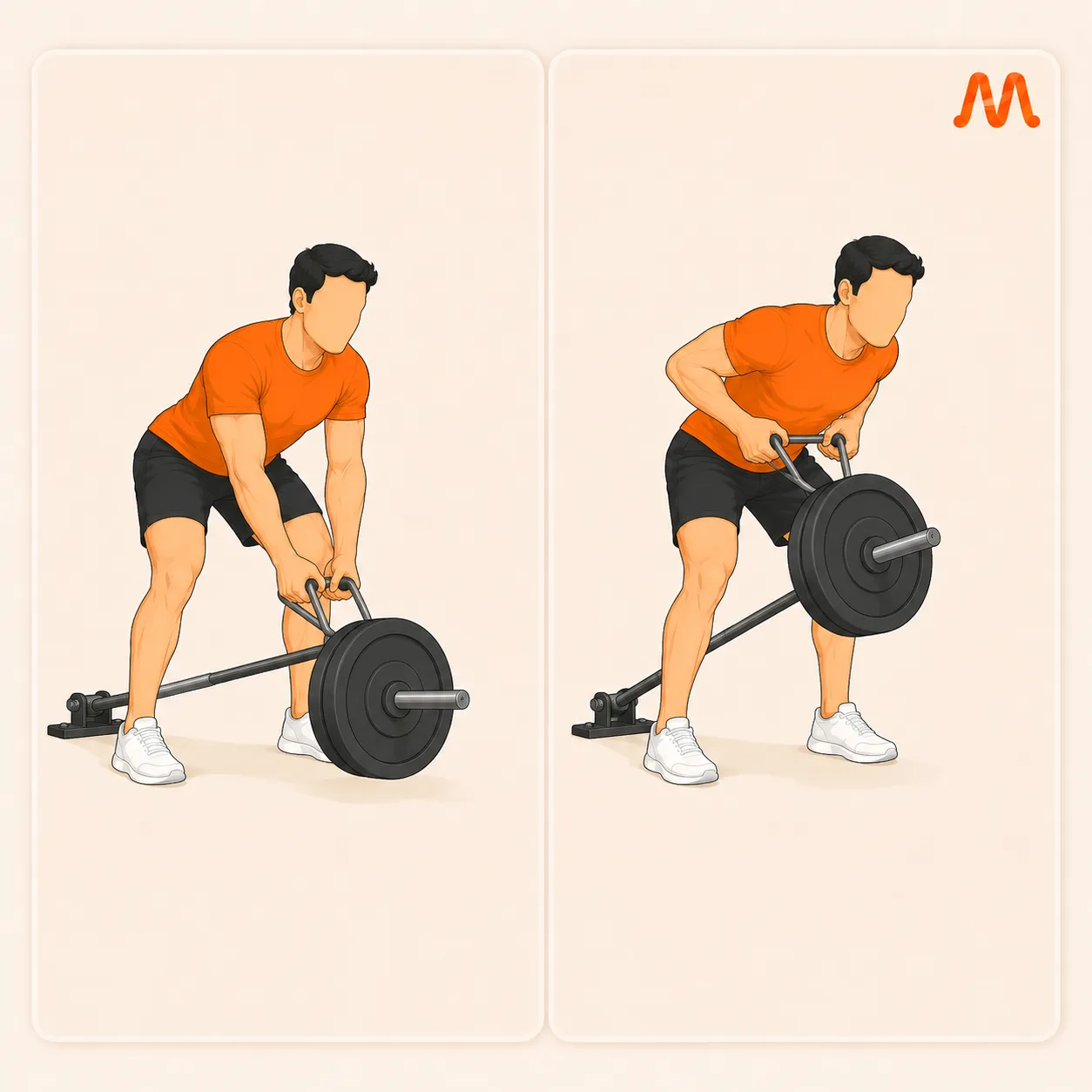 T-Bar Row exercise illustration